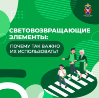 Почему так важно использовать световозвращающие элементы? Почему так важно использовать световозвращающие элементы?.