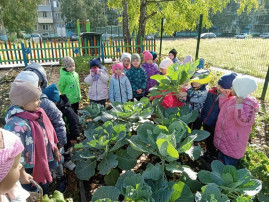 Осеннее экологическое погружение Осеннее экологическое погружение.