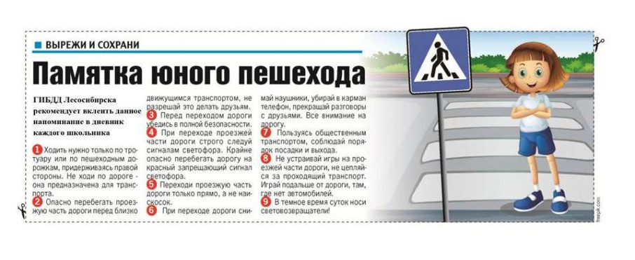 Профилактика детского дорожно-транспортного травматизма в образовательных организациях Профилактика детского дорожно-транспортного травматизма в образовательных организациях.